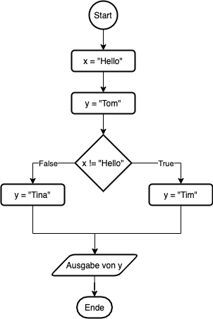 Informatik - Conditionals (if-elif-else) und Flussdiagramme